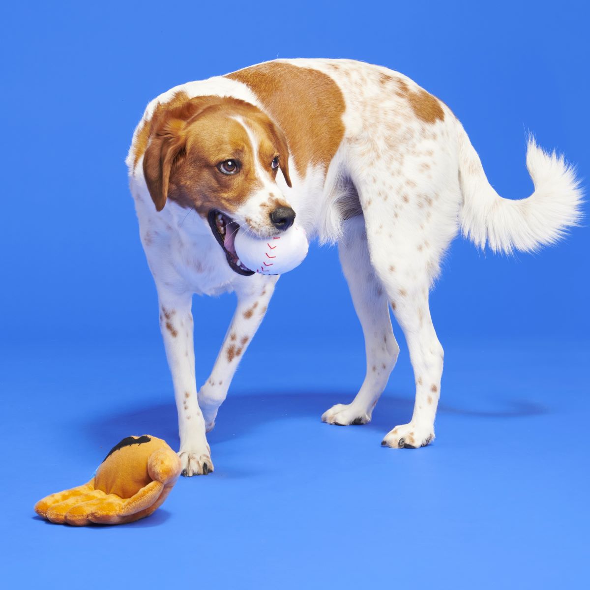 Growlings Baseball Glove