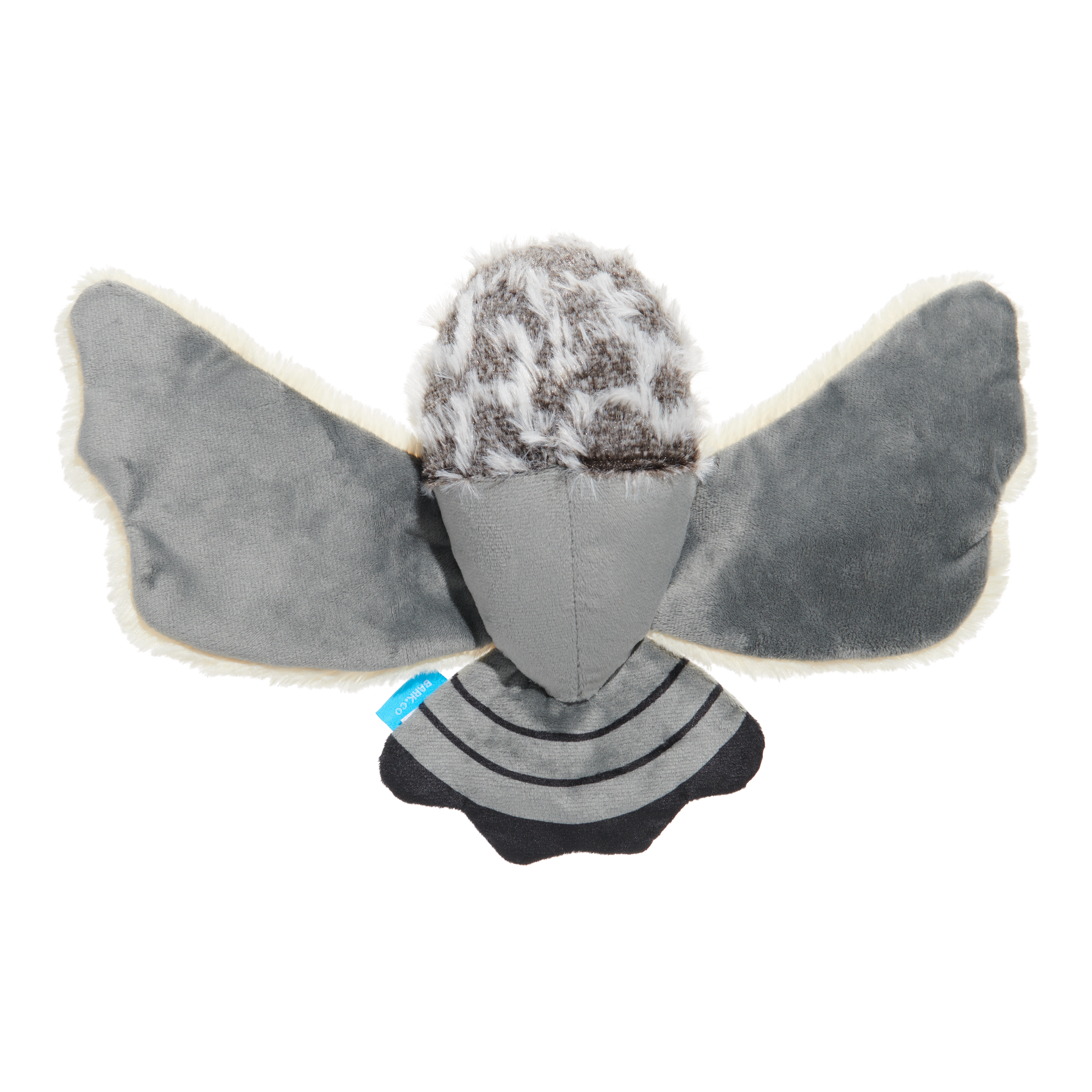 Perry the Peregrine Falcon