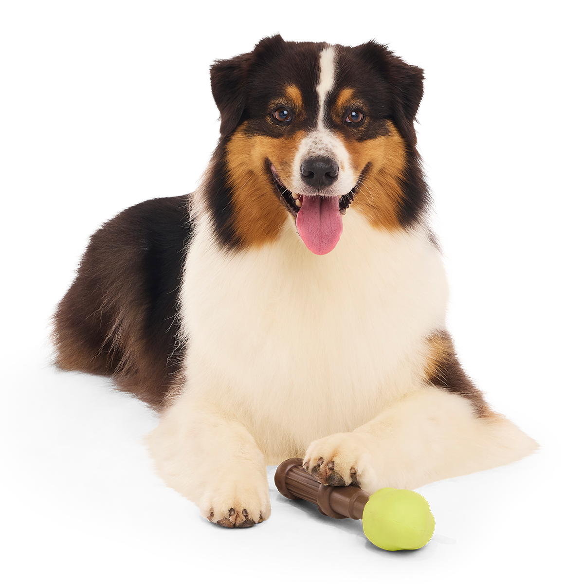 Harry's Bogey™ Wand Super Chewer Durable Gnaw Dog Toy
