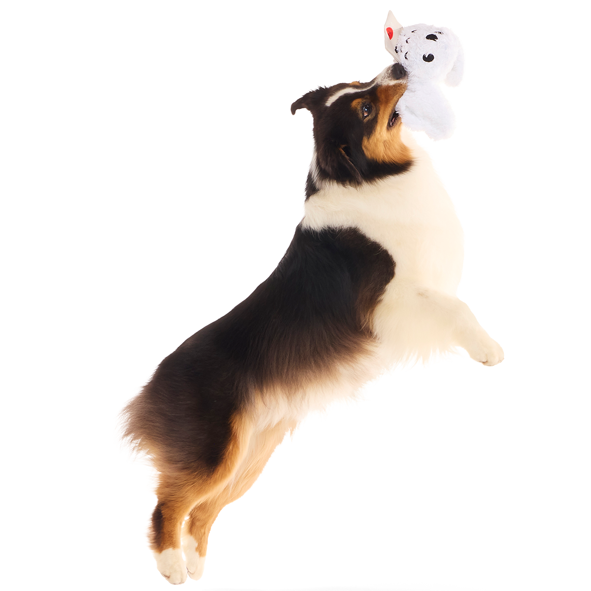 Hedwig™ Plush Tug Dog Toy