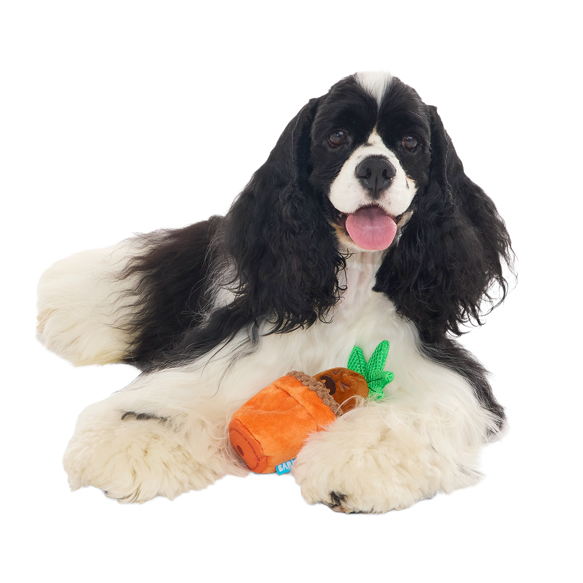 Mandrake™ Plush Tug + Multi-Part Dog Toy