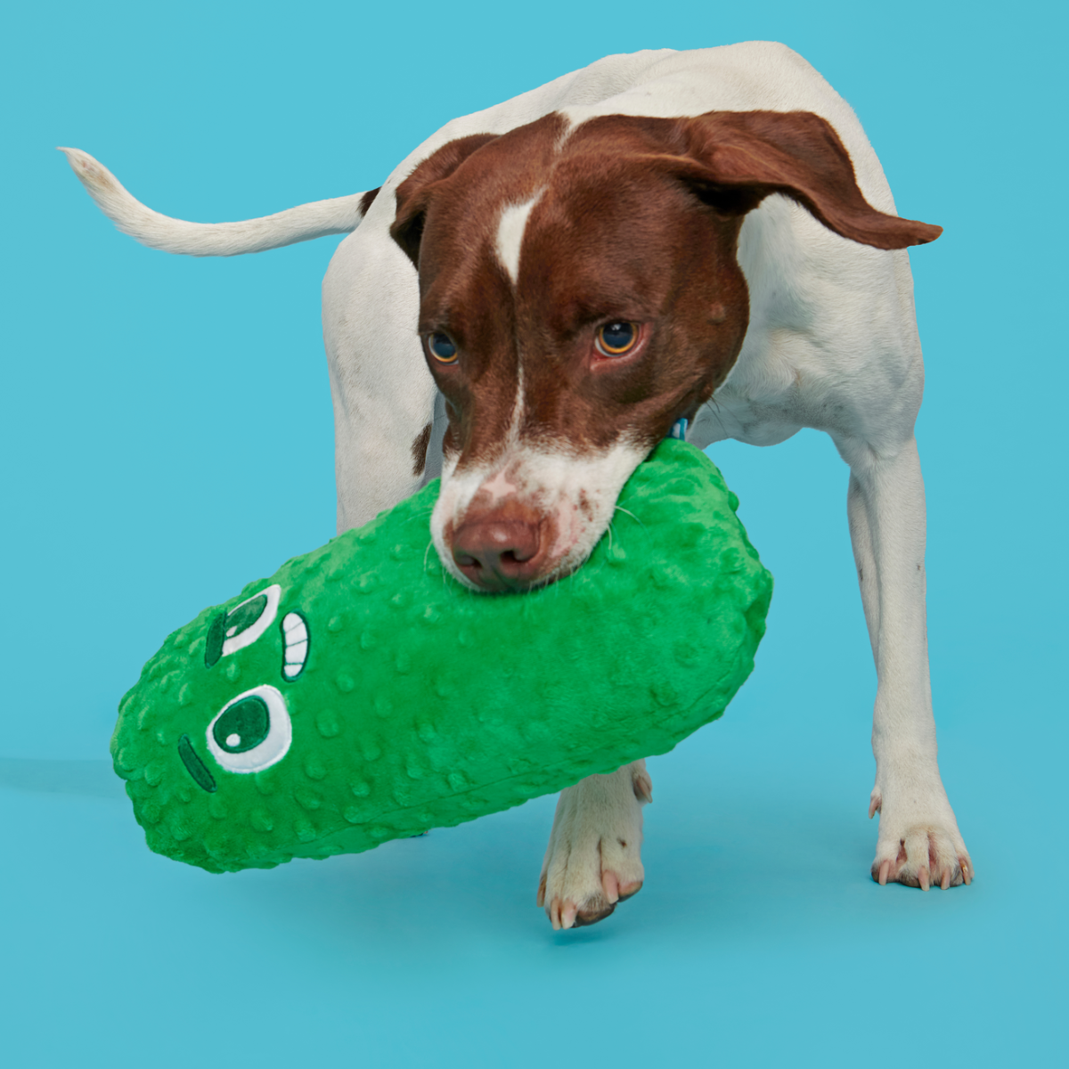 Big Dill Bill Plush Extra-Large Tug Dog Toy