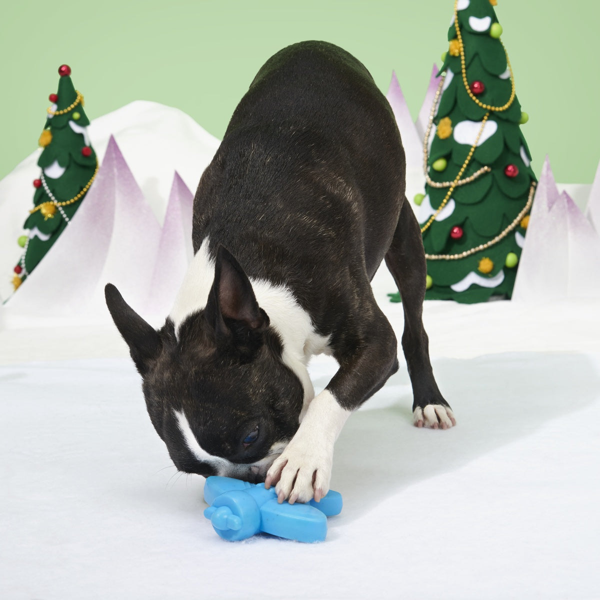 Rudolph® Holiday Gift Super Chewer Box#Extra Toy_Extra Toy