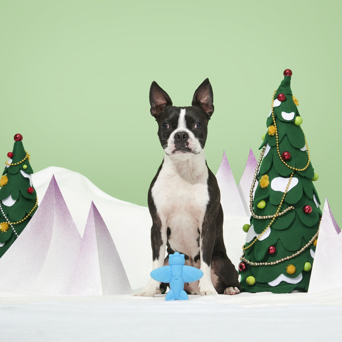 Rudolph® Holiday Gift Super Chewer Box#Extra Toy_Extra Toy