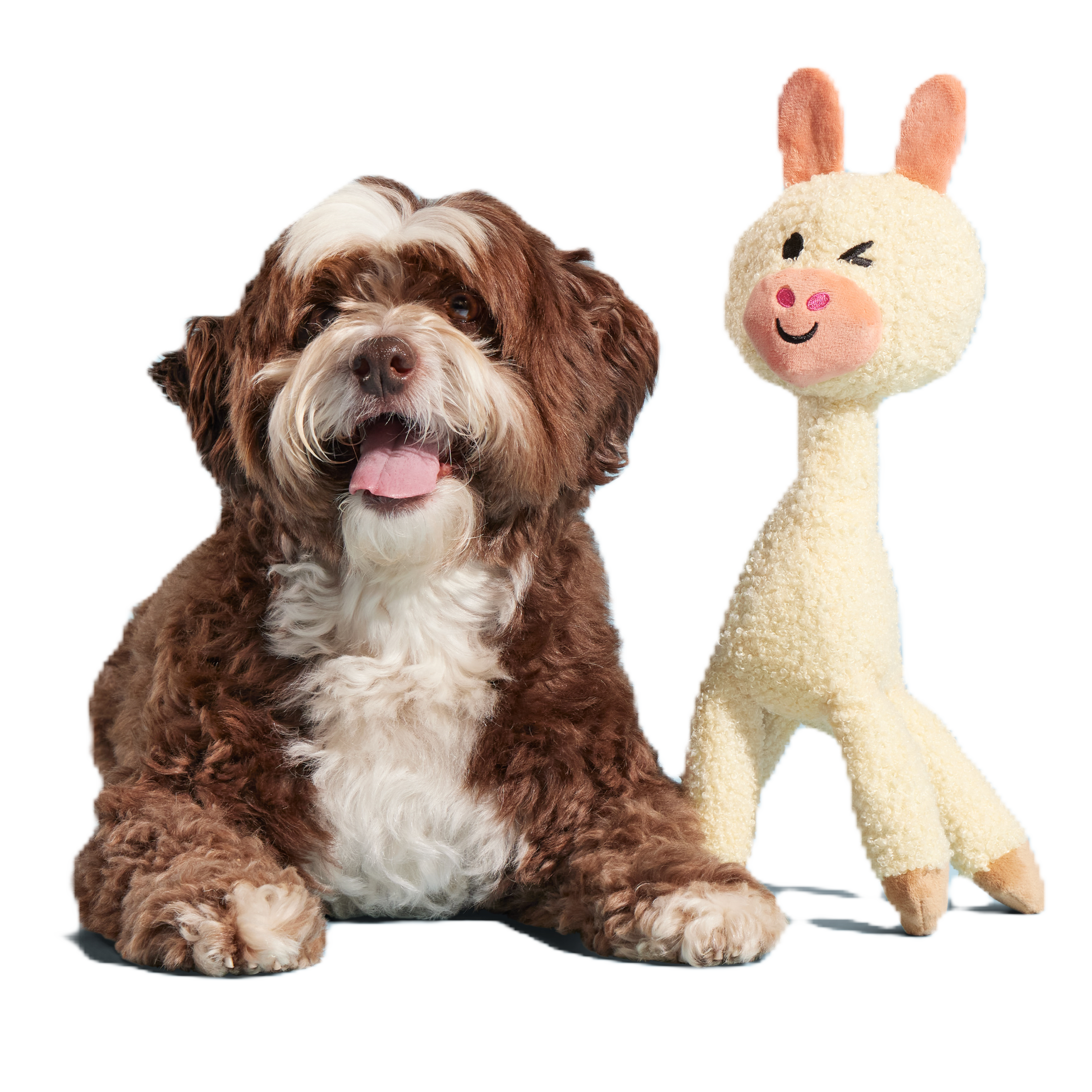 Big Al Paca Plush Tug Extra-Large Dog Toy