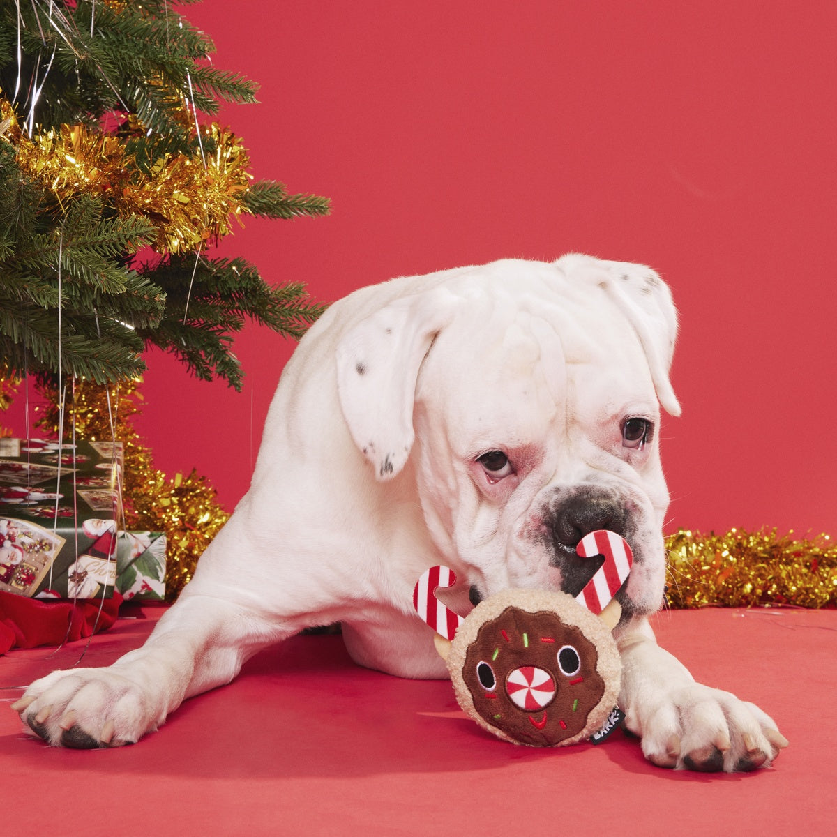 Gnasher The Puppermint Reindeer