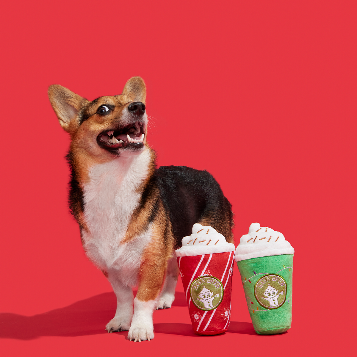 Fa-la-la-la Lattes Plush Dog Toy Bundle