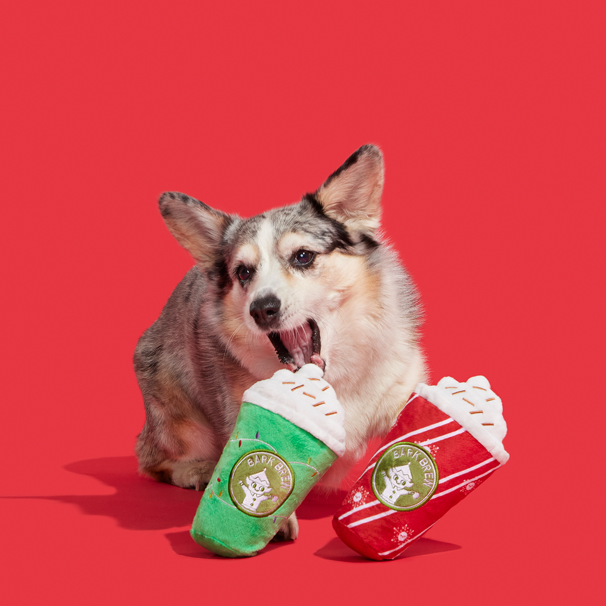 Fa-la-la-la Lattes Plush Dog Toy Bundle