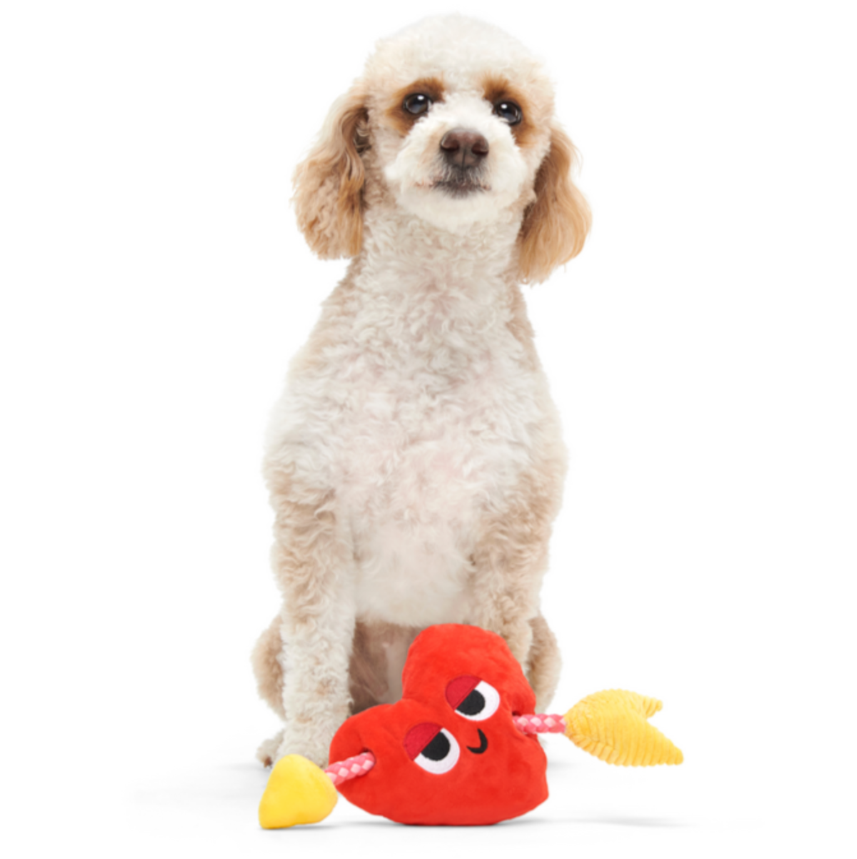 Heart Throbert Plush Tug Dog Toy