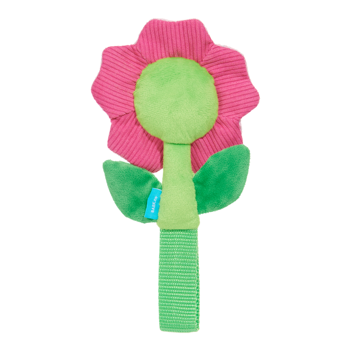 Penny Pechewnia Plush Tug Dog Toy