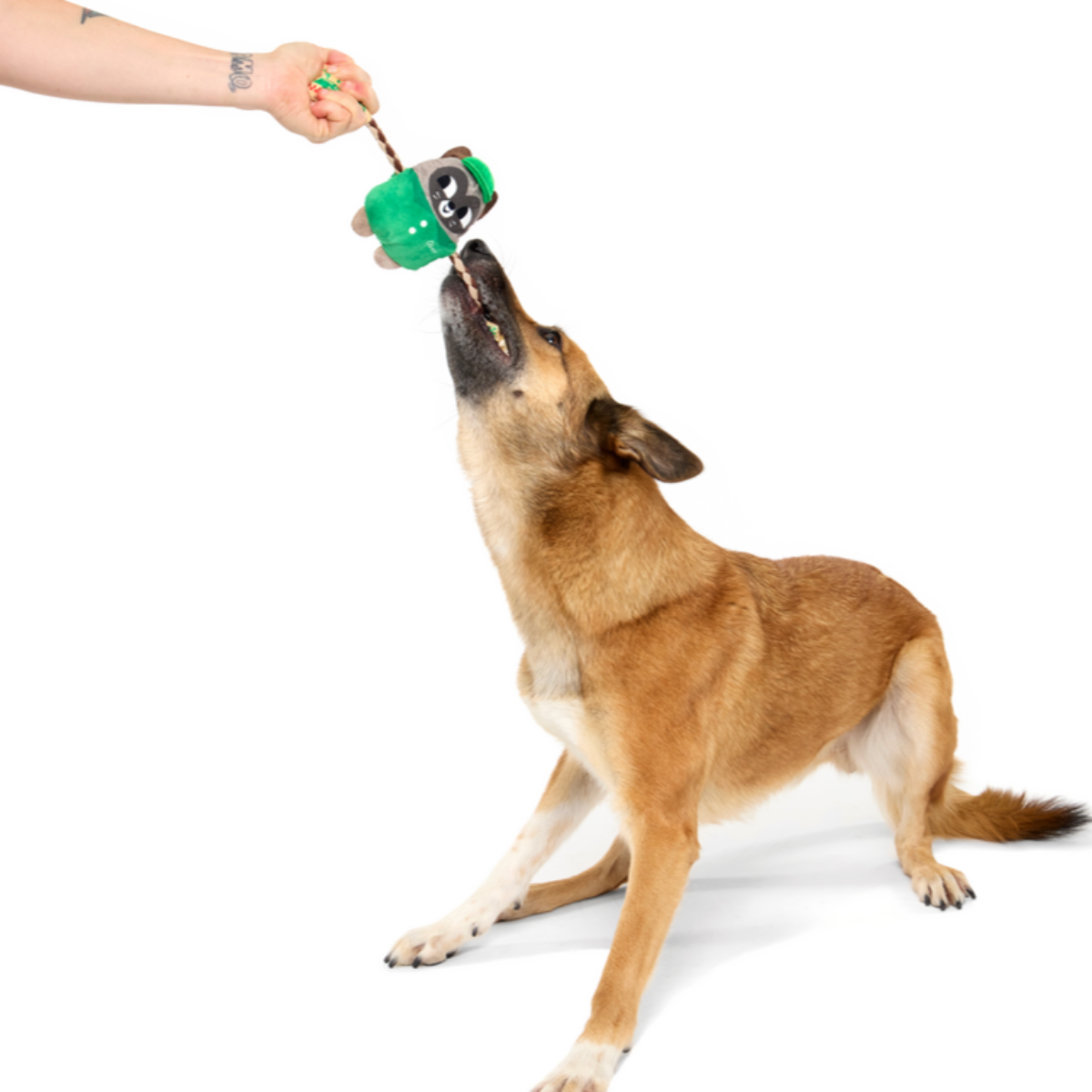 Late Bite Delivery Guy