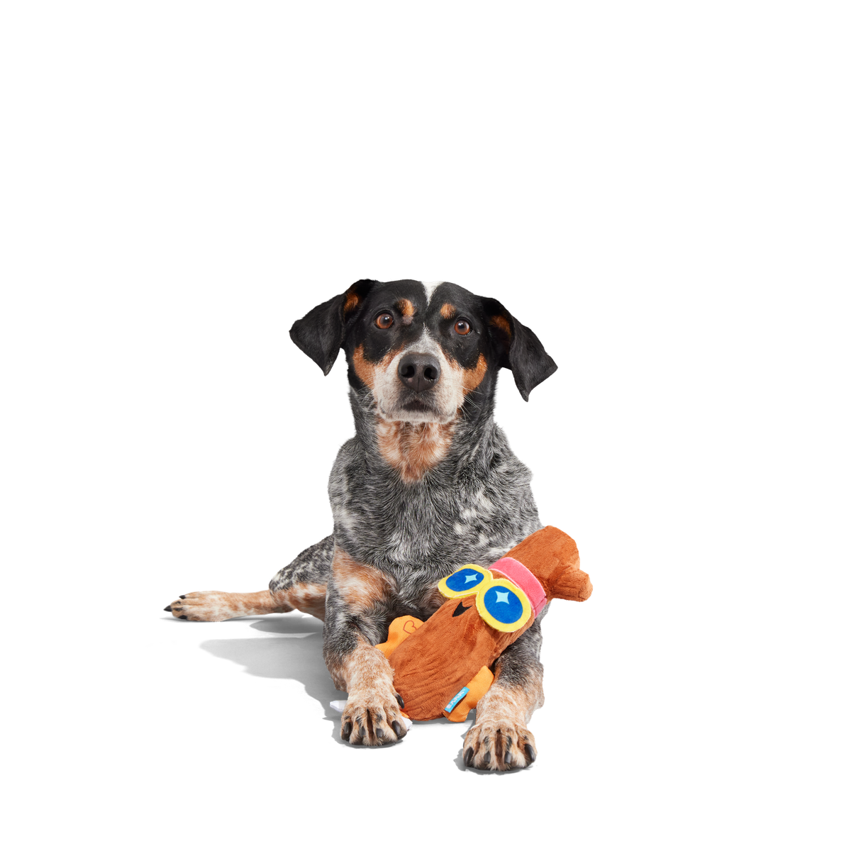Hunk Stickman Plush Tug Dog Toy