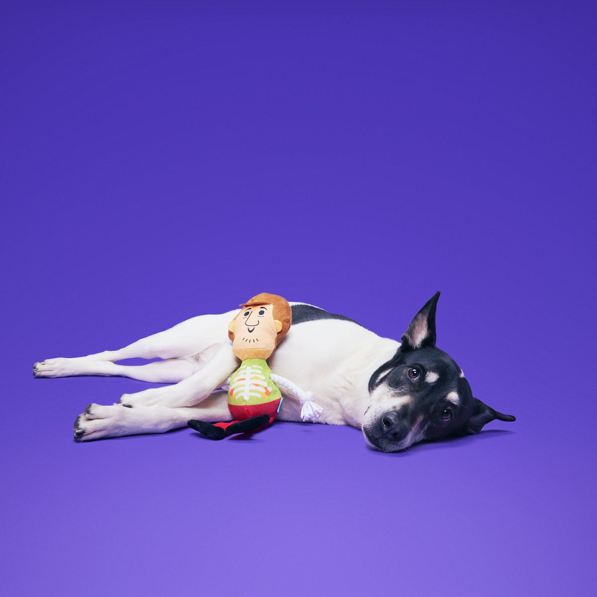 Shaggy™ Skelly Plush Extra-Large + Tug Dog Toy