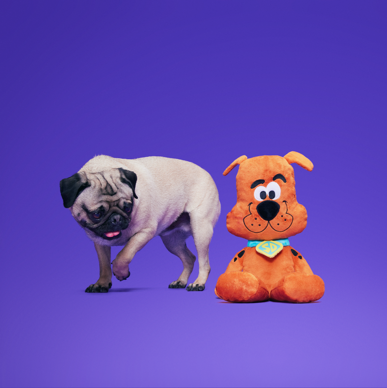 Scooby-Doo™ Bundle