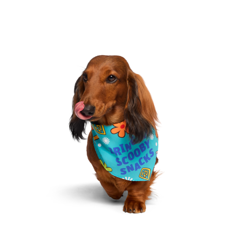 Scooby-Doo™ Bundle