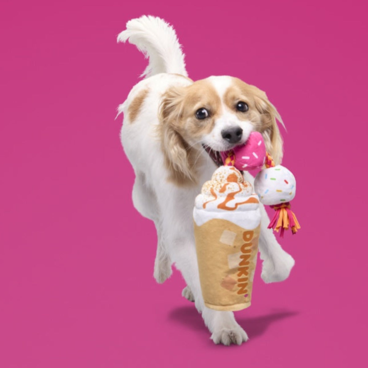 Dunkin'® Pumpkin Signature Latte Toy