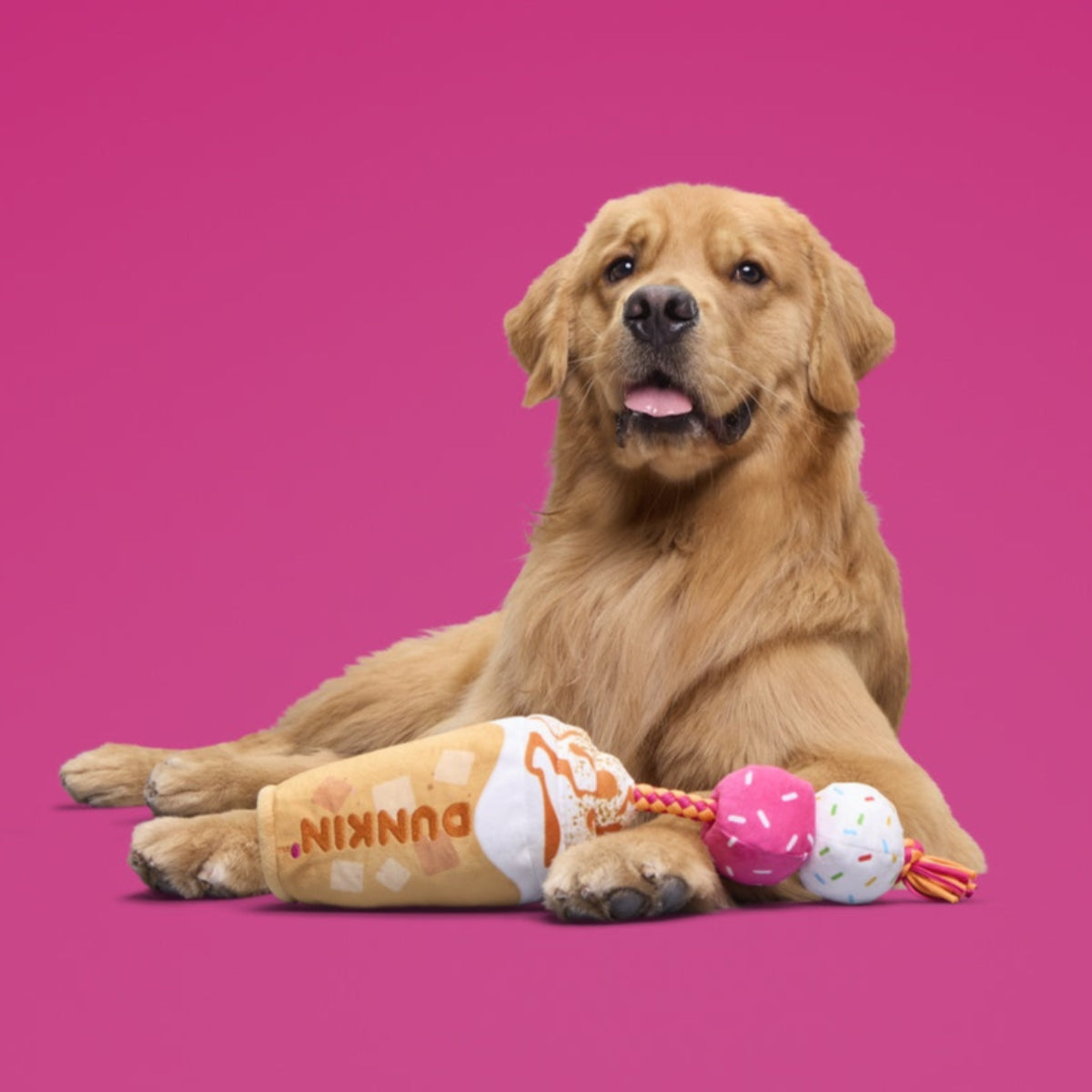 Dunkin'® Pumpkin Signature Latte Toy