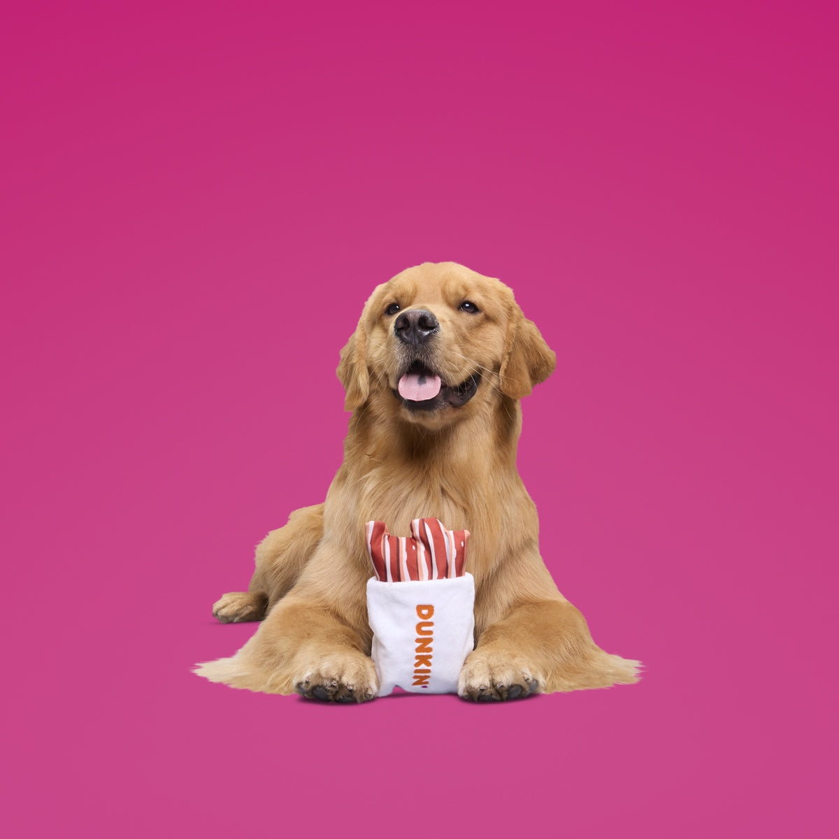 Dunkin'® Snackin' Bacon Toy