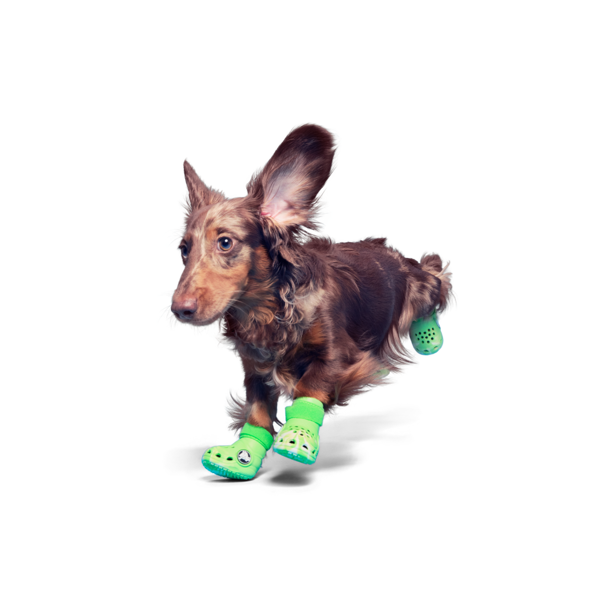 Crocs™ Shoes For Dogs