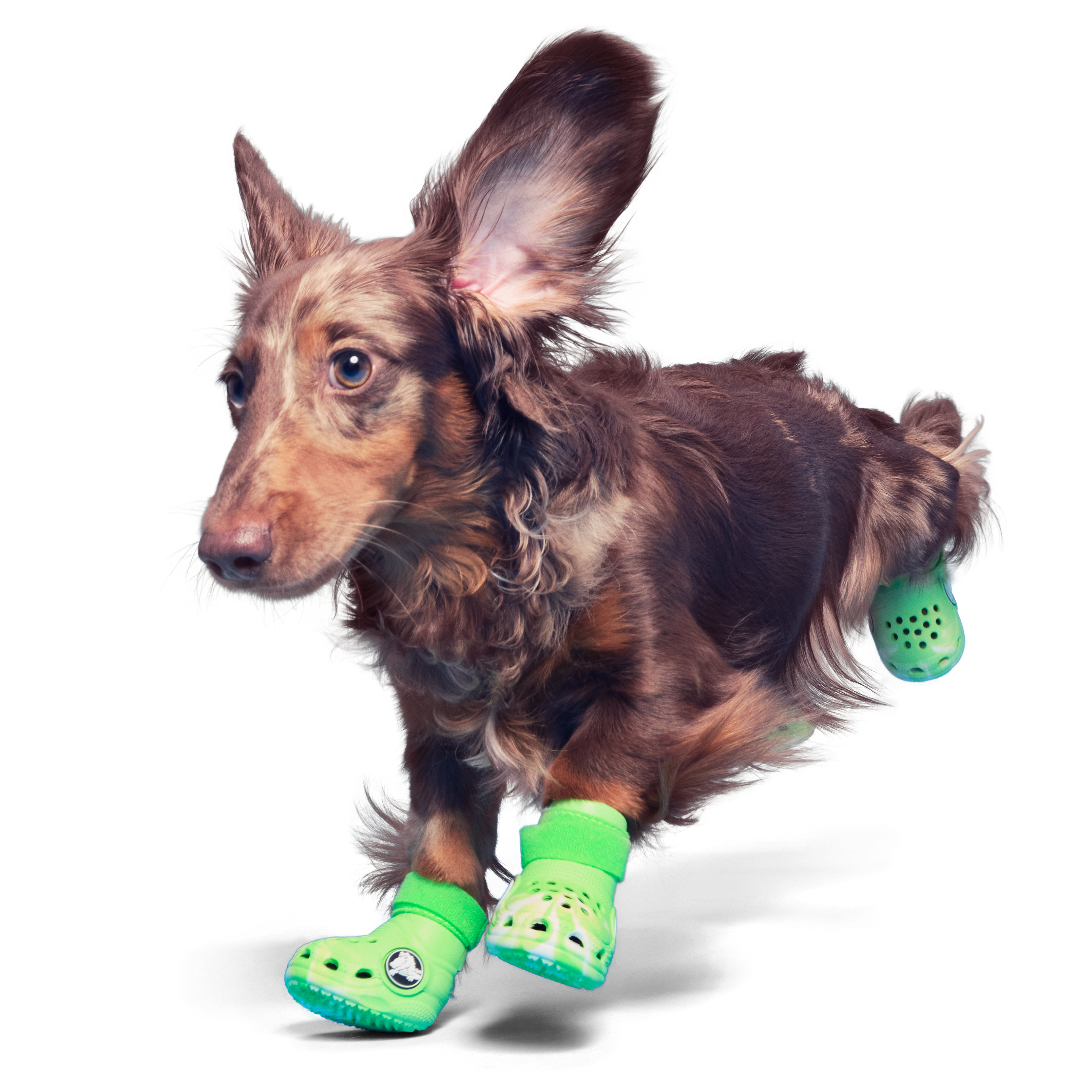 Crocs™ Shoes For Dogs#Color_Green Slime