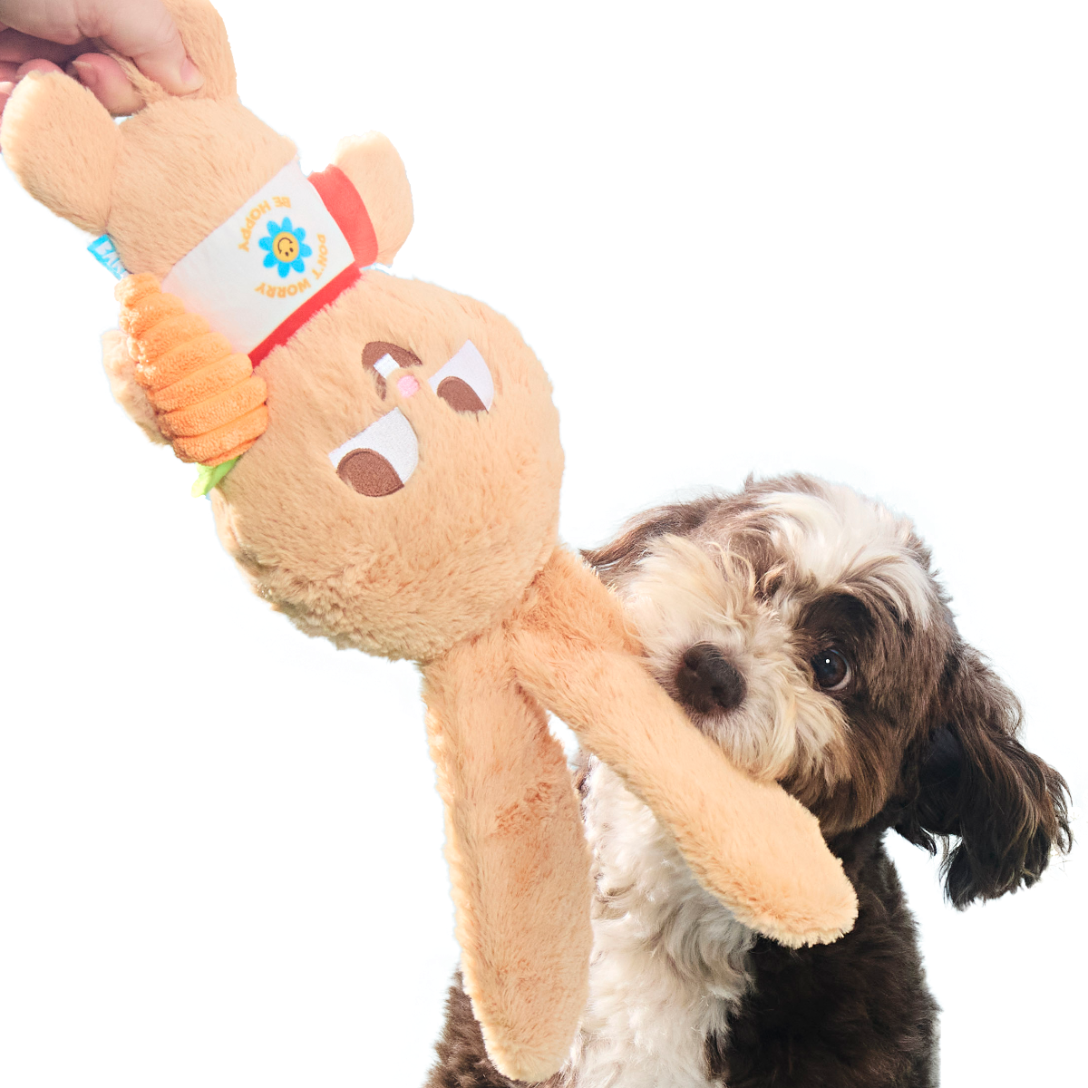 Veggie Reggie Plush Tug + Extra-Large Dog Toy