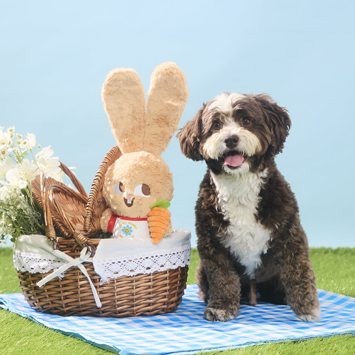 Veggie Reggie Plush Tug + Extra-Large Dog Toy