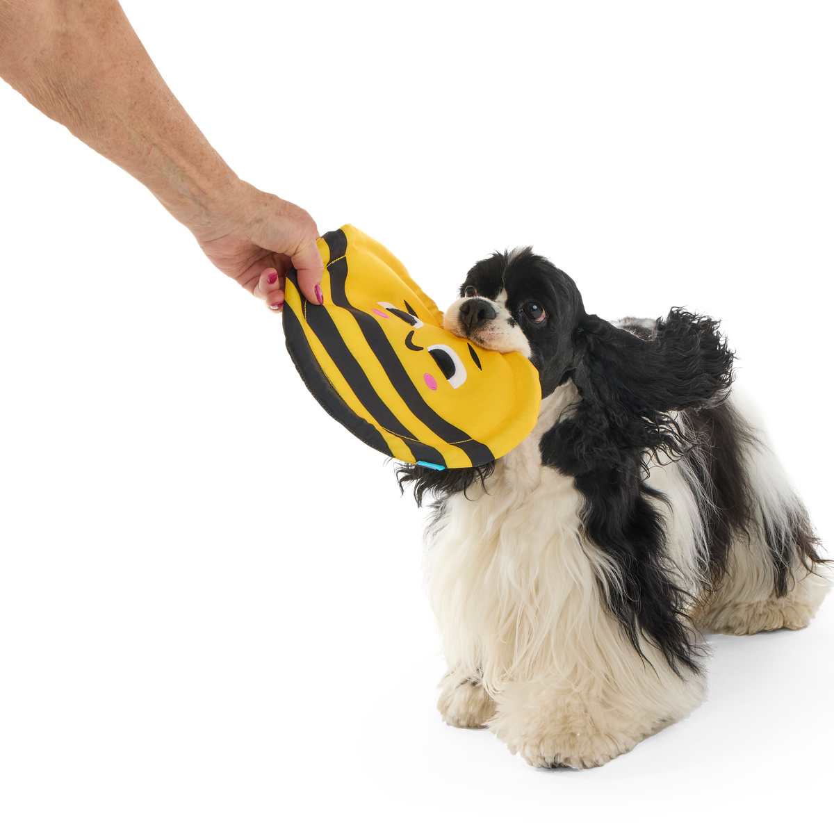Fritz Bee Plush Fetch Dog Toy