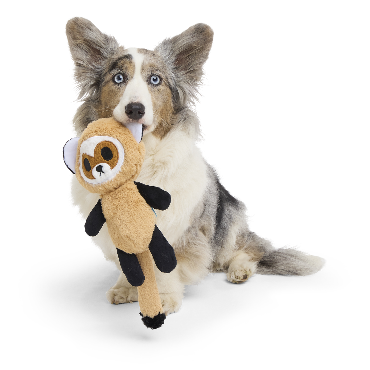 Garrett The Black Footed Ferret Plush Tug Dog Toy