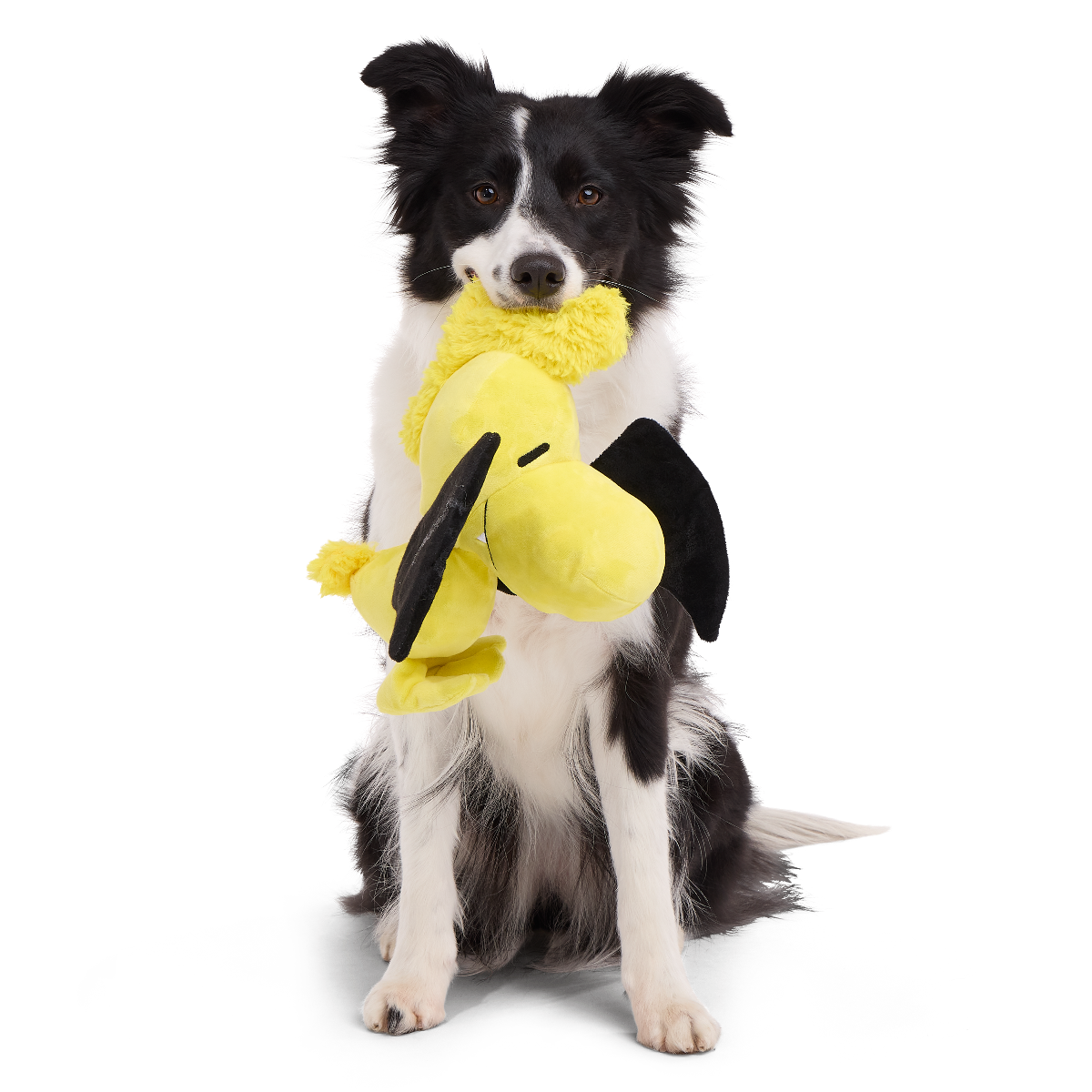 Woodstockula Plush Extra-Large + Tug Dog Toy