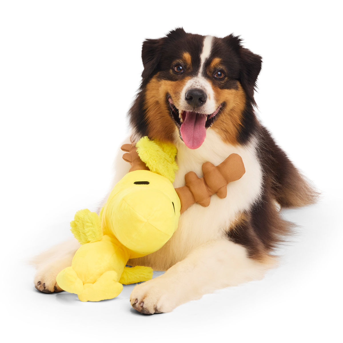 Reinbird Plush Extra-Large Dog Toy – BARK