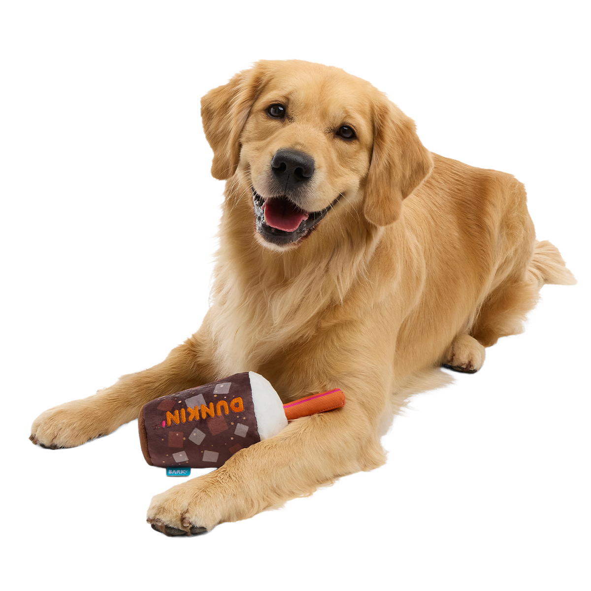 Dunkin'® Cold Brew Plush Tug Dog Toy