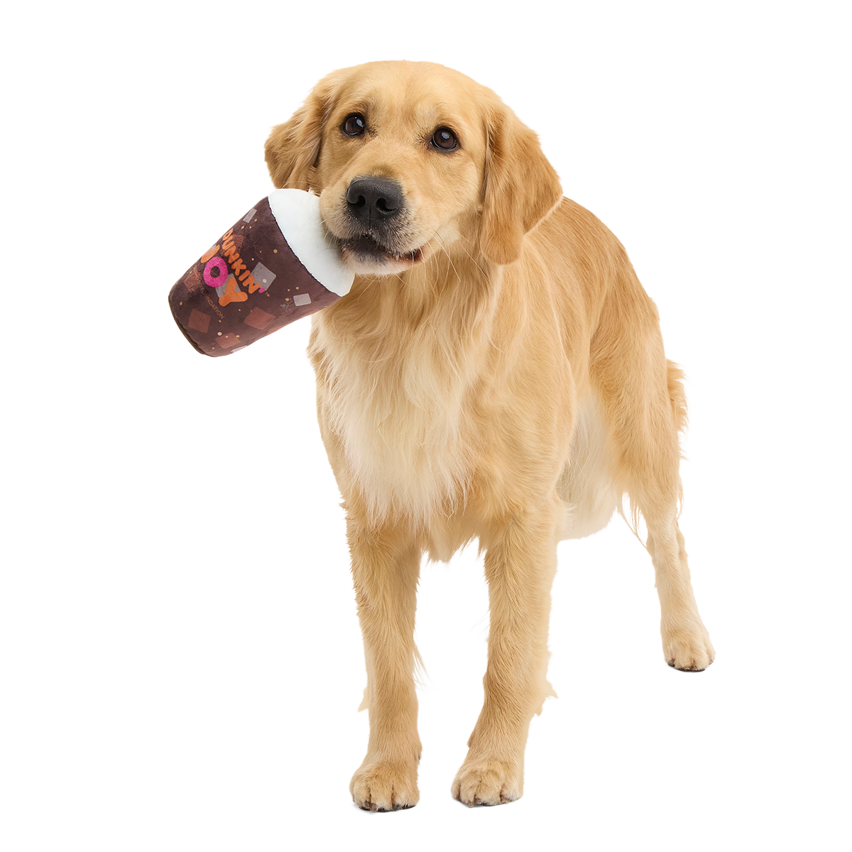 Dunkin'® Cold Brew Plush Tug Dog Toy