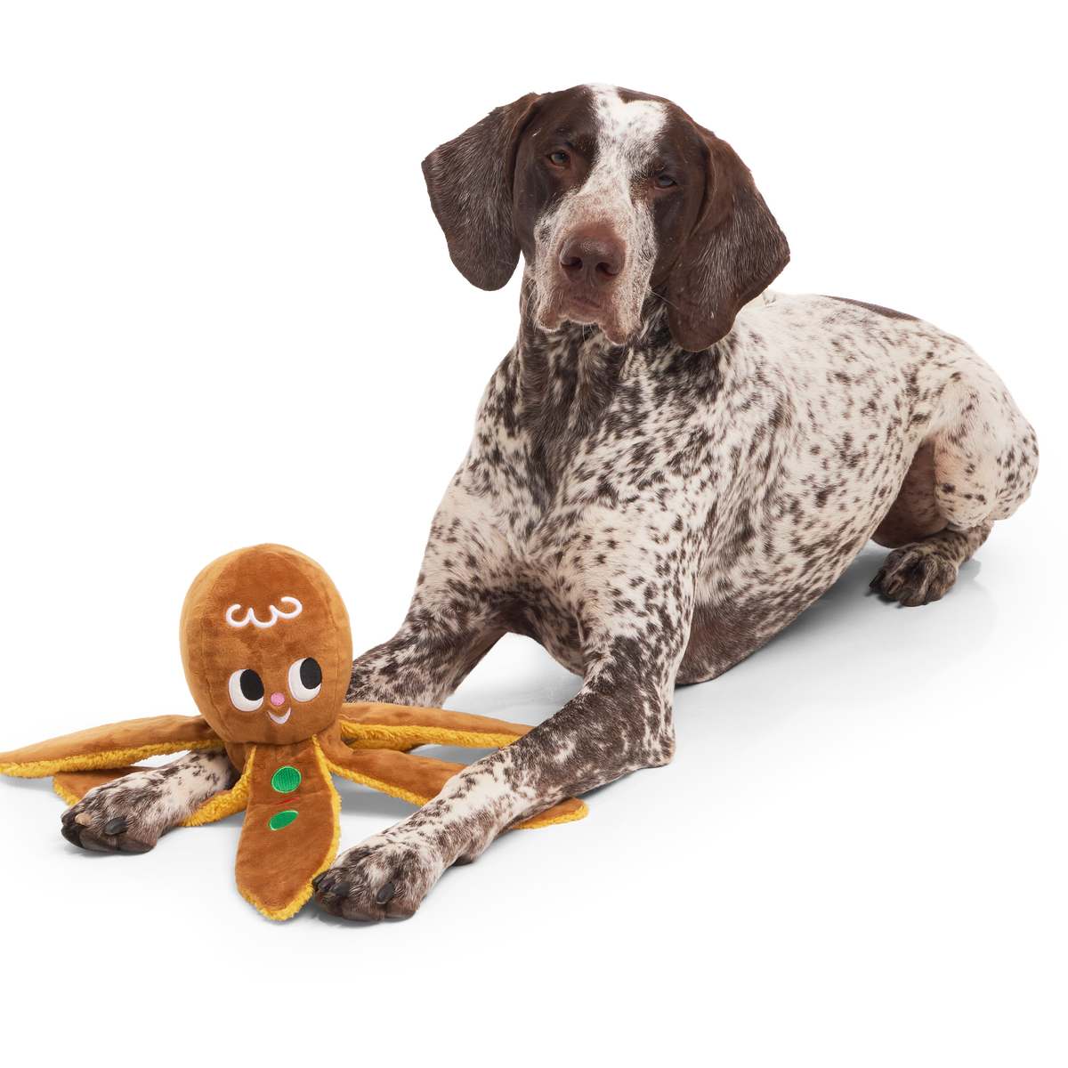 Happy Olliedays! Plush Extra-Large + Tug Dog Toy