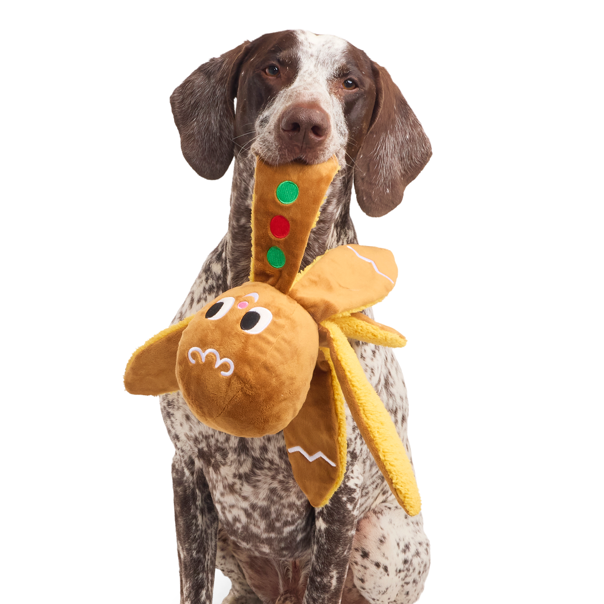 Happy Olliedays! Plush Extra-Large + Tug Dog Toy