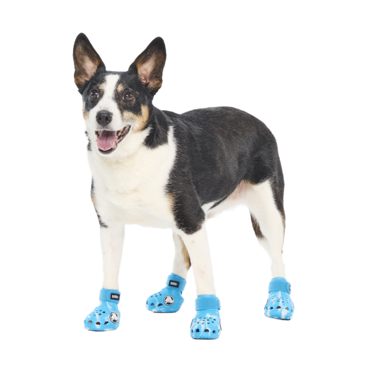 Crocs™ Shoes For Dogs#Color_Marina