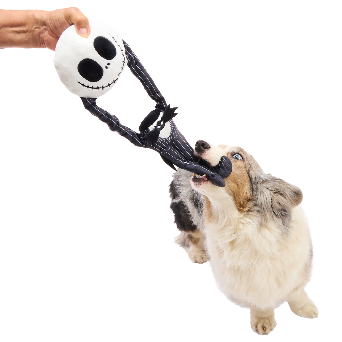 Jack Stretchington Plush Extra-Large + Tug Dog Toy