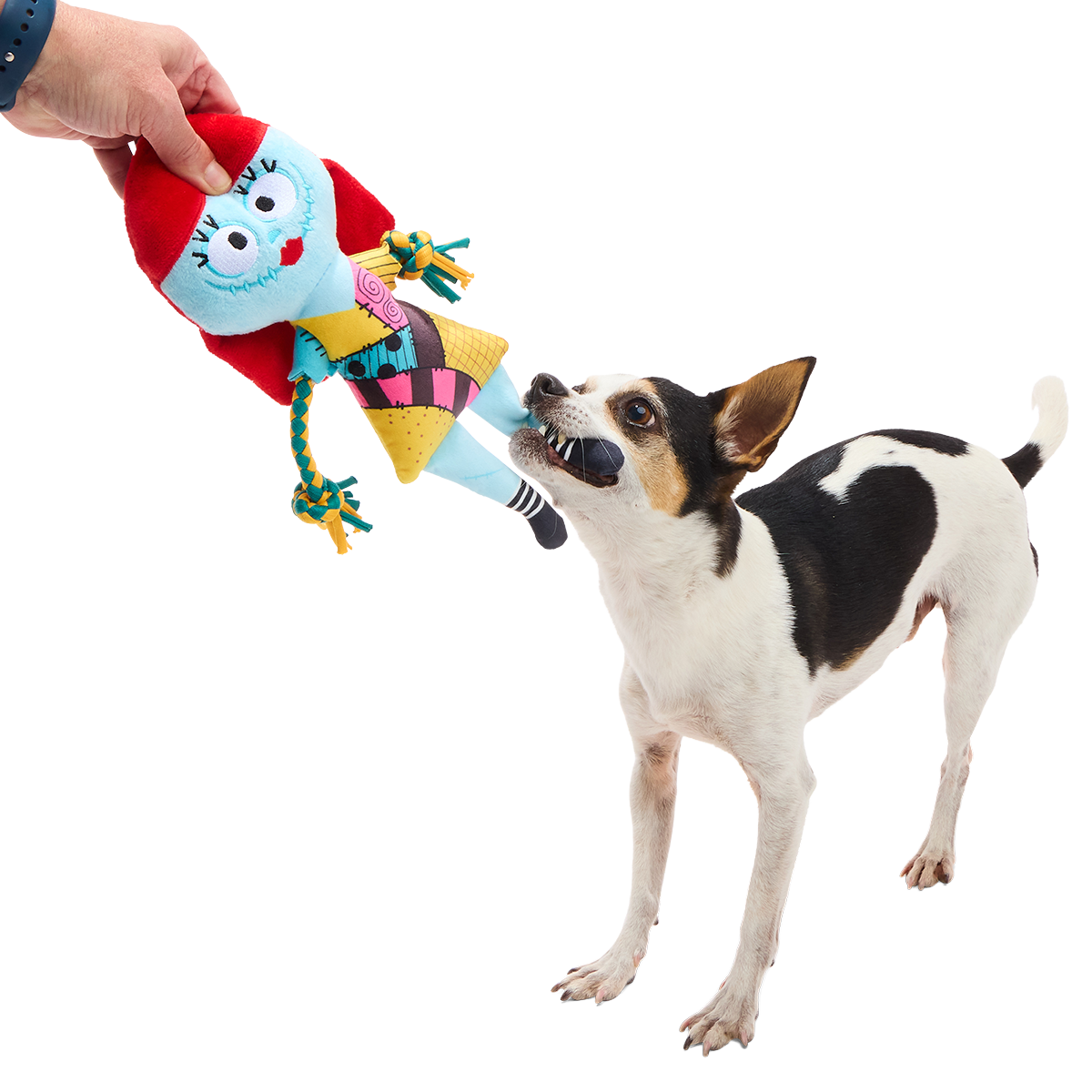 Sally the Wagdoll Plush Extra-Large + Tug Dog Toy
