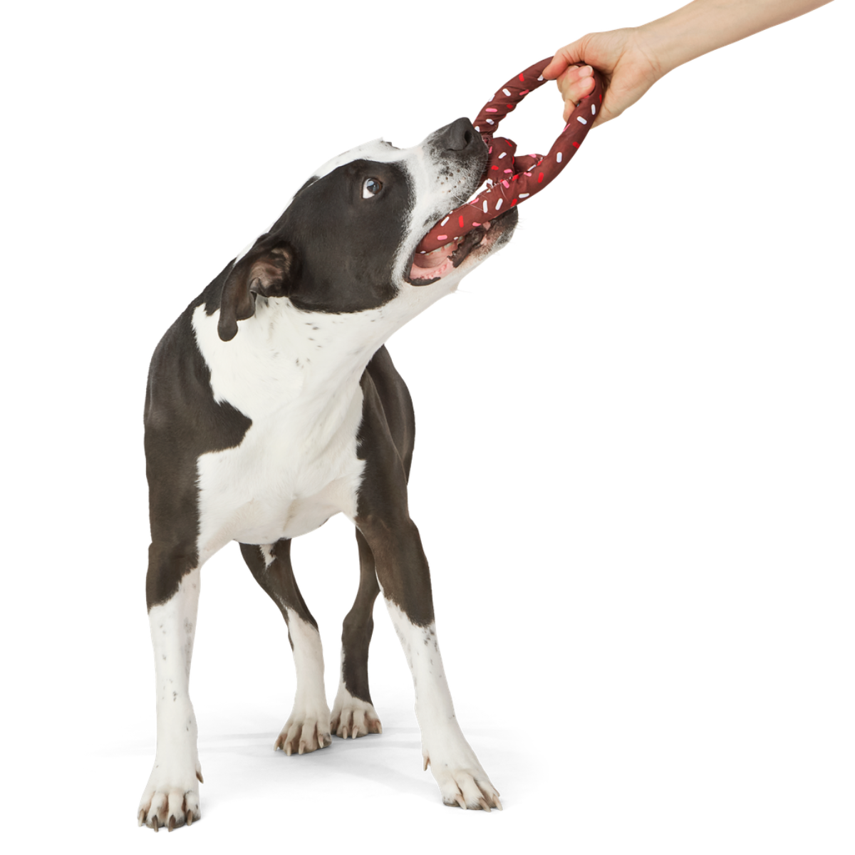 Chocolick Pretzel Plush Extra-Large Tug Dog Toy