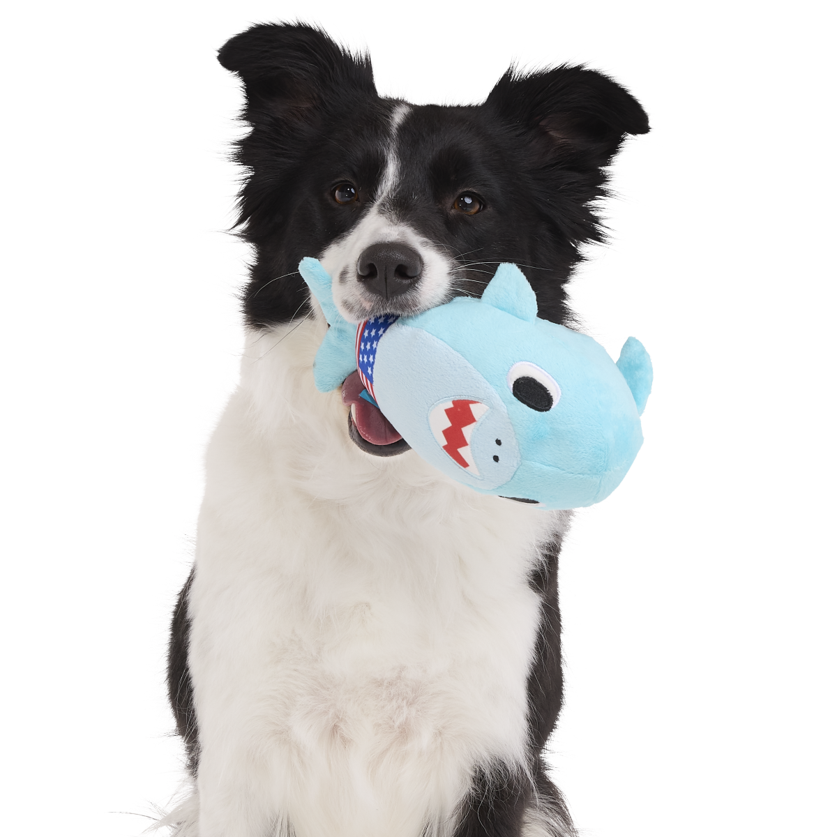 Fourth Of Jawly Jake Plush Tug Dog Toy