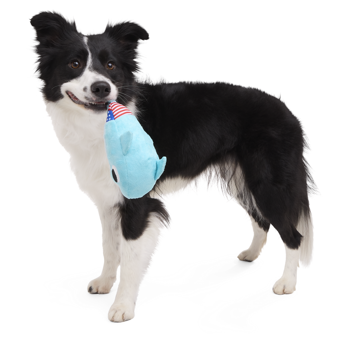Fourth Of Jawly Jake Plush Tug Dog Toy