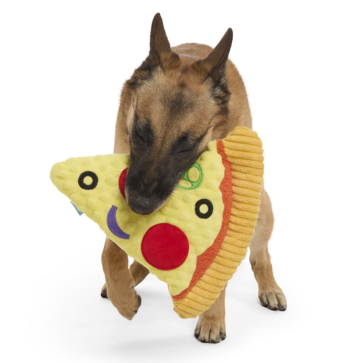Extra-Large Toy Club, Monthly Plush XL Dog Toys