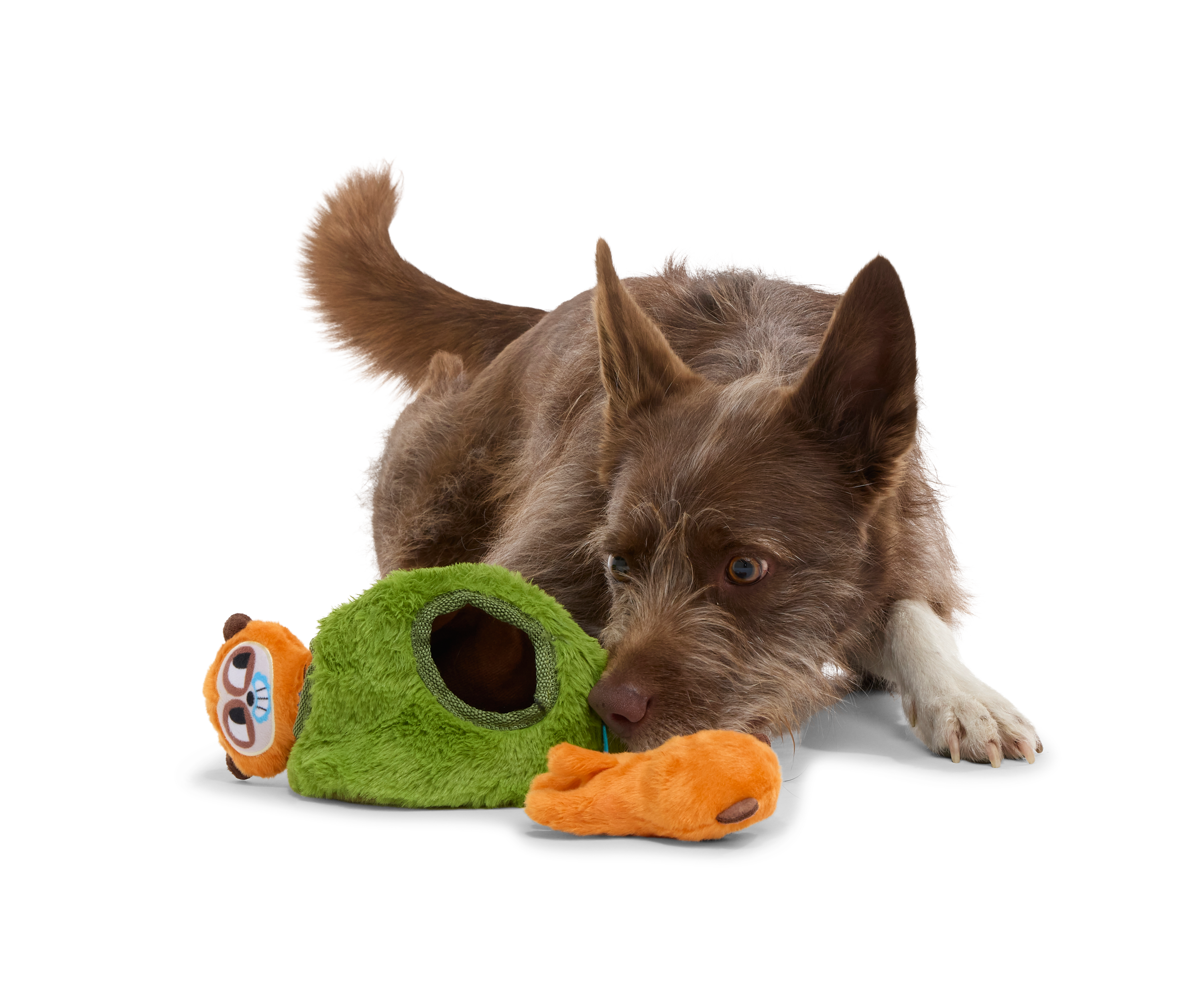 Mchanga & Mwanga Meerkat