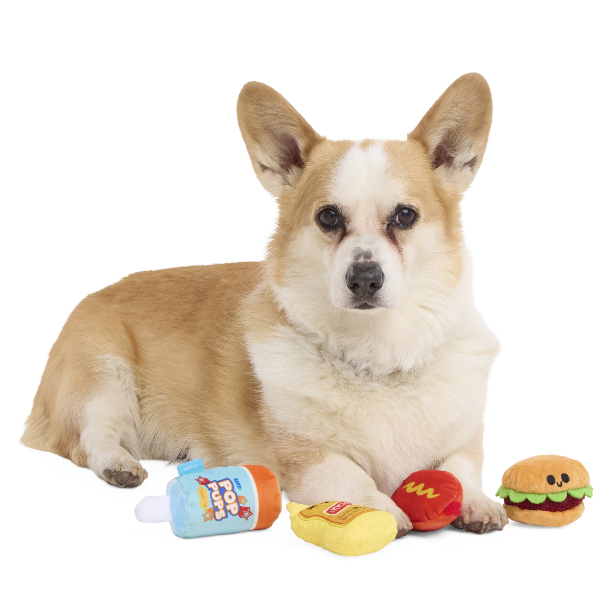 The Bark-B-Q Bunch Plush Multi-Part Dog Toy