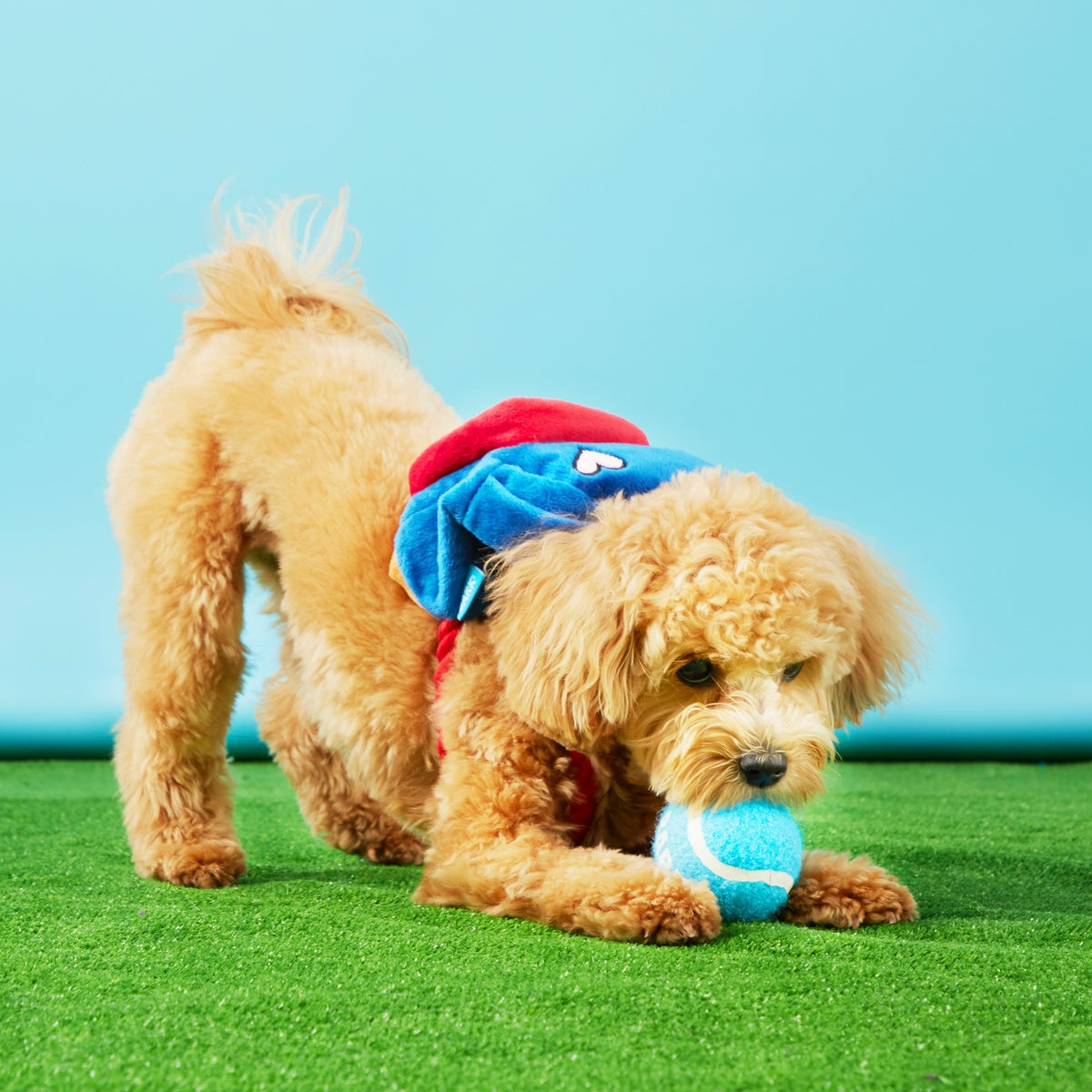 Janspup Plush Multi-Part + Tug + Fetch Dog Toy