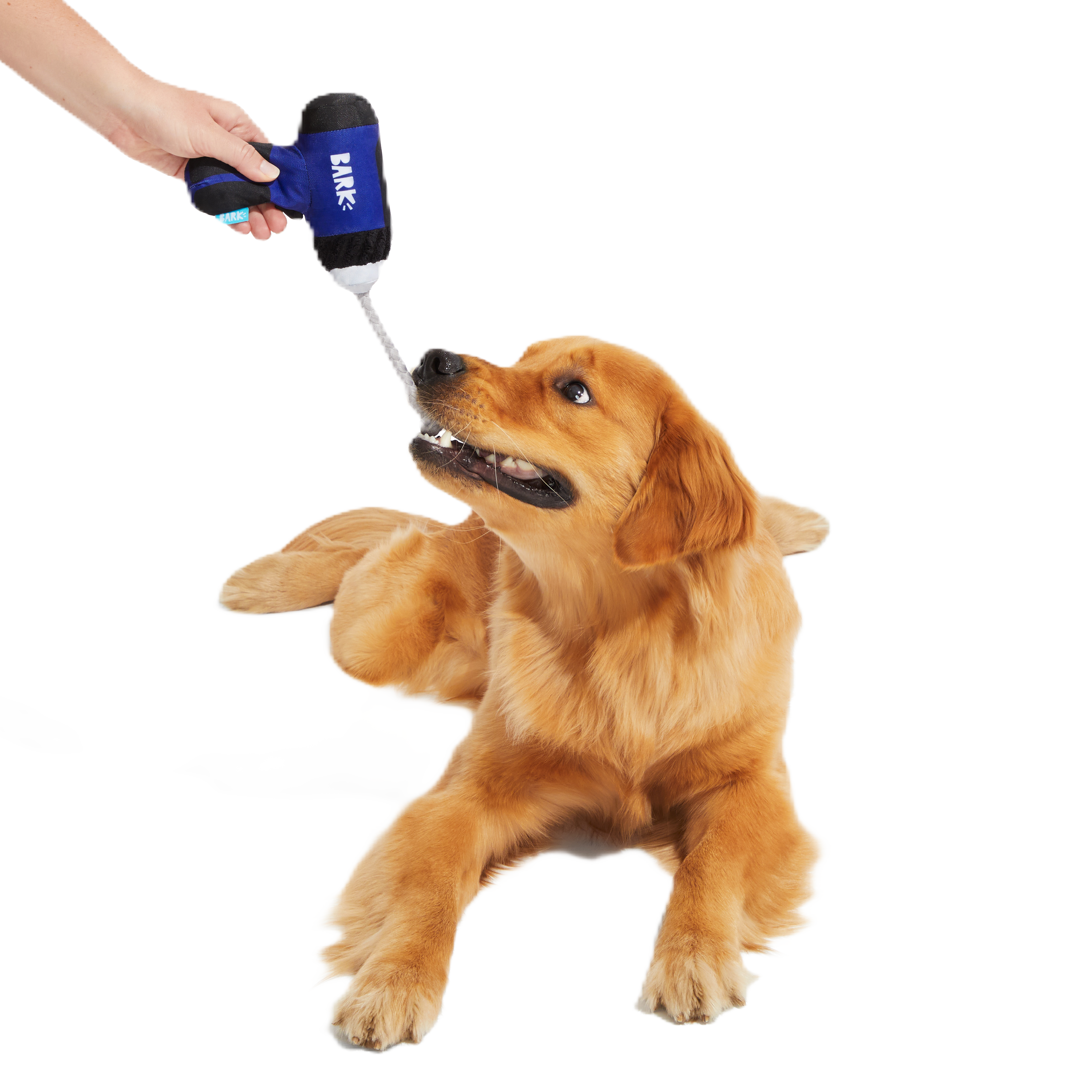 Tuggin’ Impact Drooler