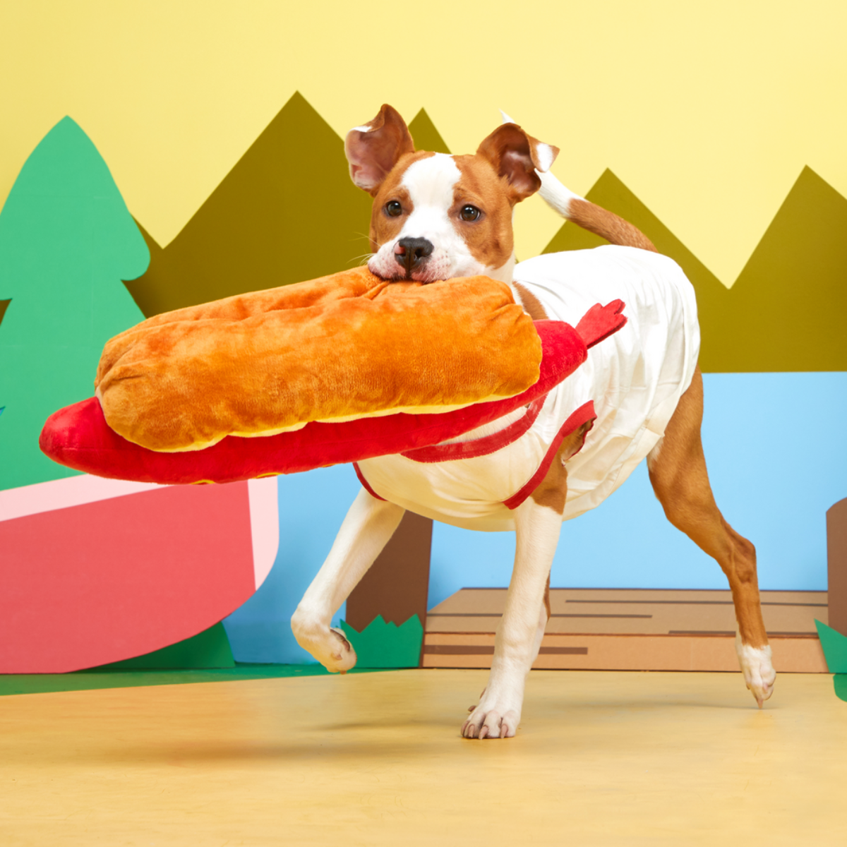 Frank N. Footer Plush Extra-Large Tug Dog Toy