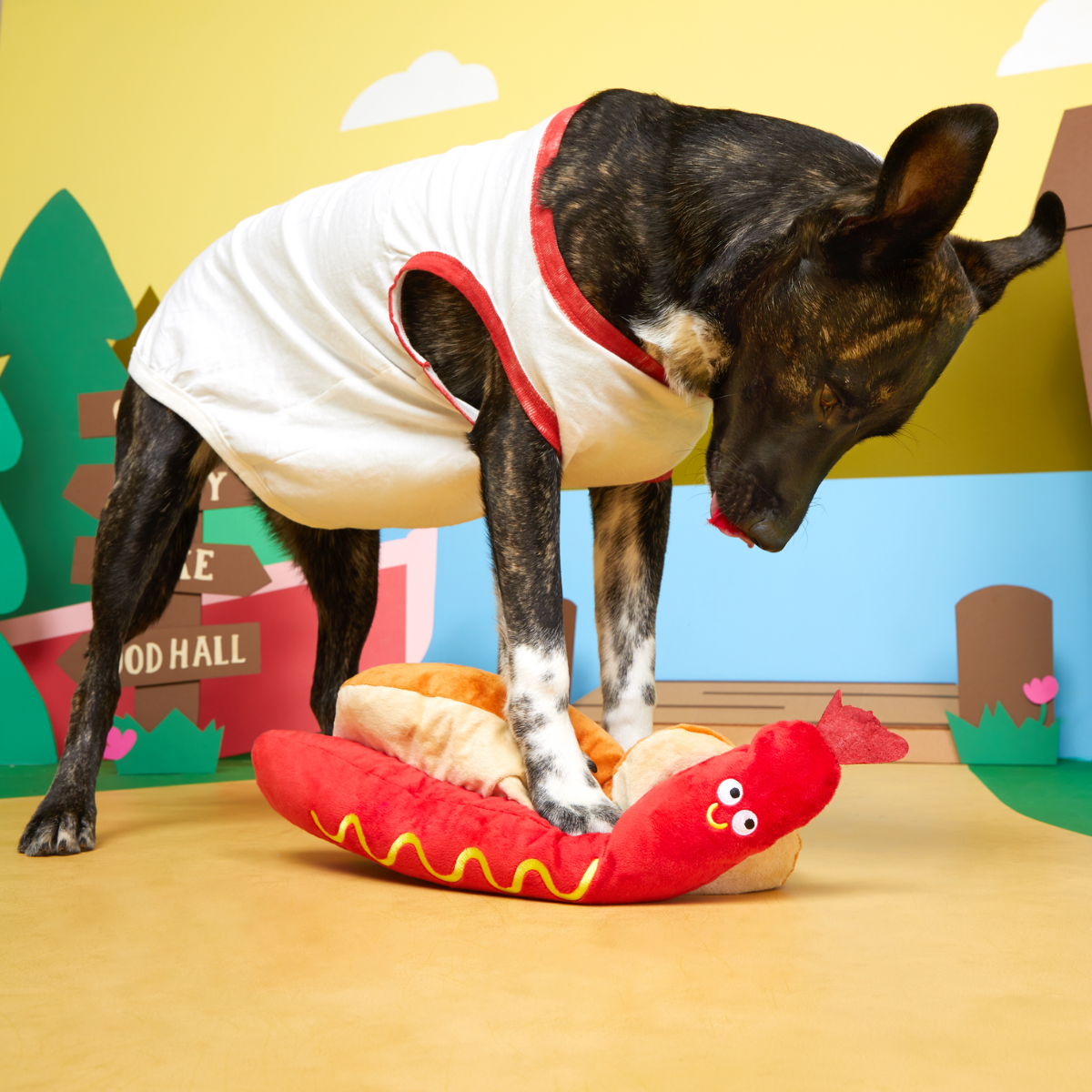 Frank N. Footer Plush Extra-Large Tug Dog Toy