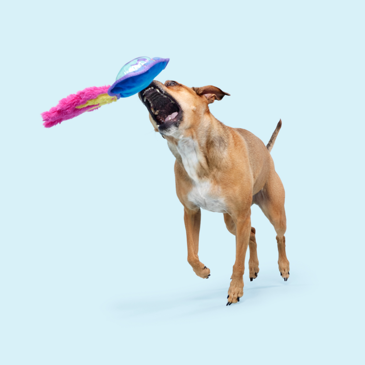 Blast Arf! Plush Tug Dog Toy