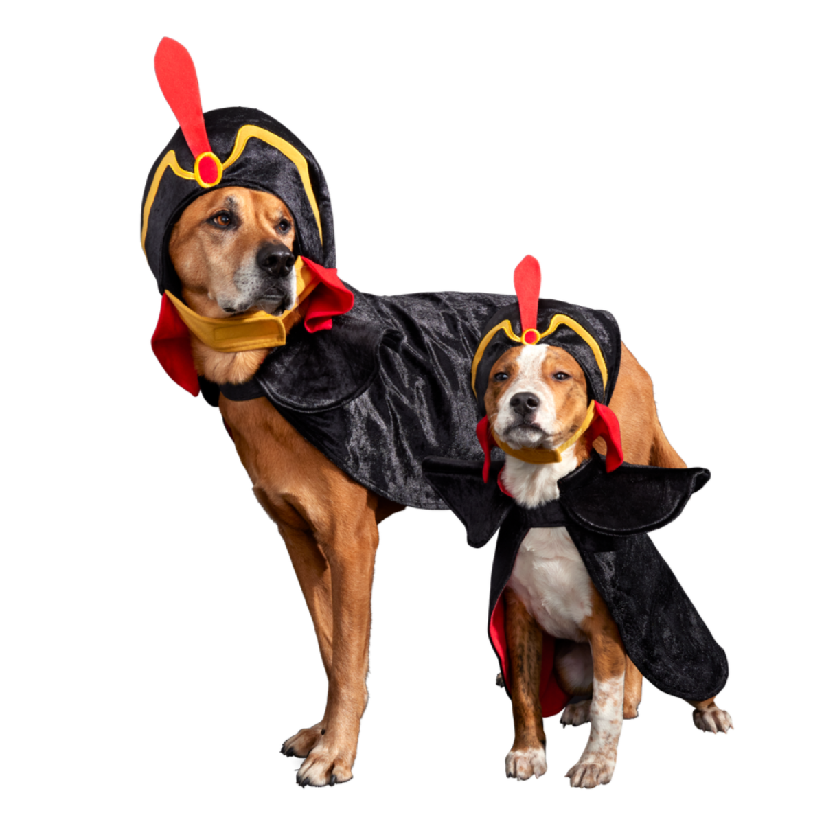 Jafar Dog Costume