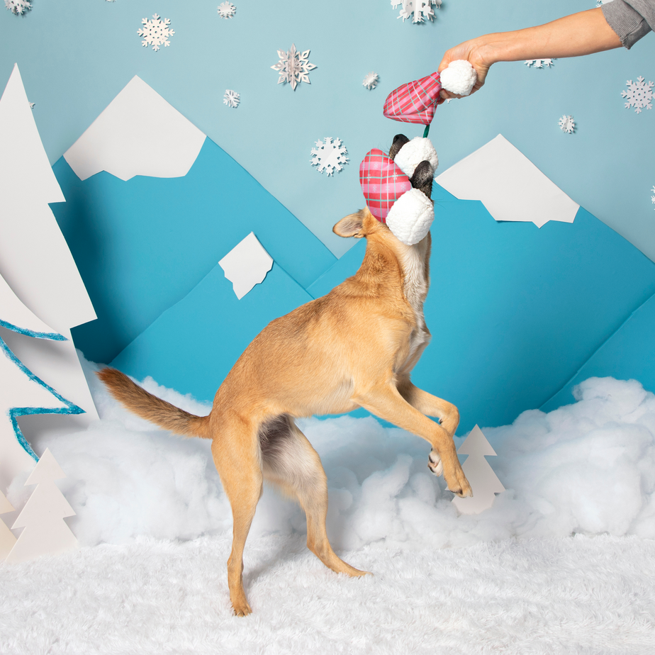 Barktic Mittens “Plaid Paw Warmers”